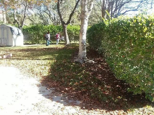 Adam’s Tree Services and Landscaping