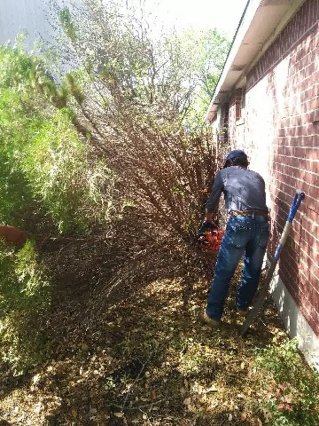 Adam’s Tree Services and Landscaping