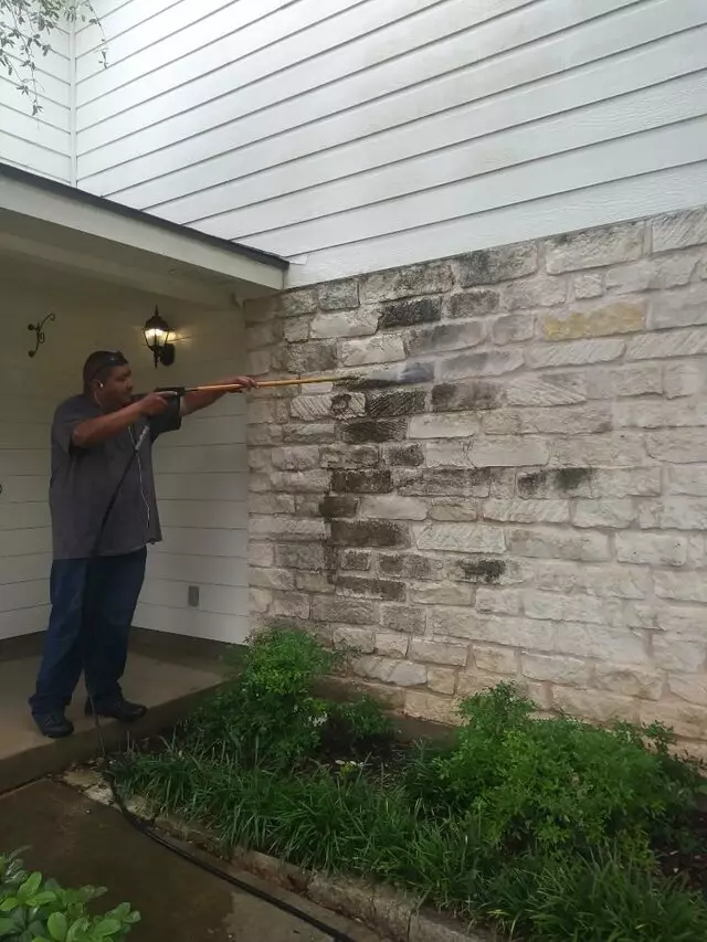 Adam’s Tree Services and Landscaping