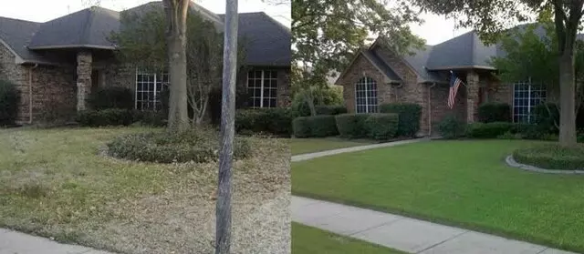 Adam’s Tree Services and Landscaping