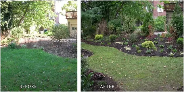 Adam’s Tree Services and Landscaping
