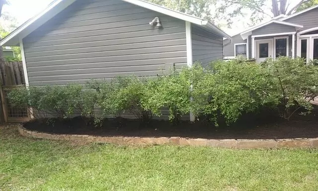 Adam’s Tree Services and Landscaping