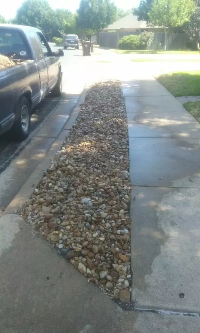 Adam’s Tree Services and Landscaping