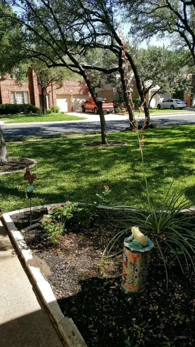 Adam’s Tree Services and Landscaping