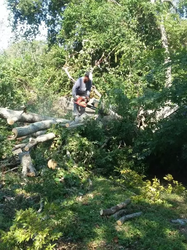 Adam’s Tree Services and Landscaping