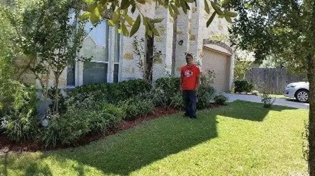 Adam’s Tree Services and Landscaping