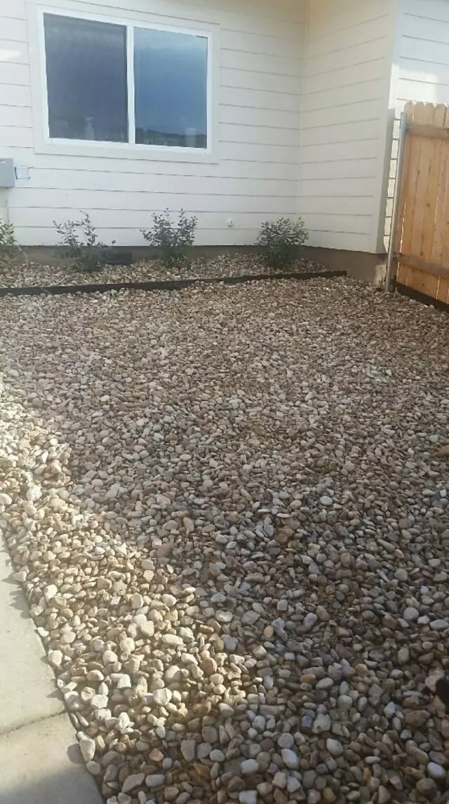 Adam’s Tree Services and Landscaping