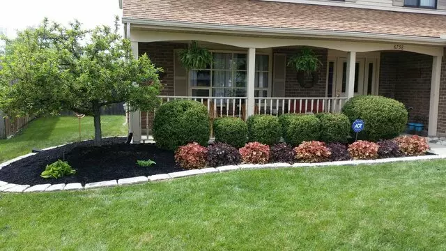 Adam’s Tree Services and Landscaping