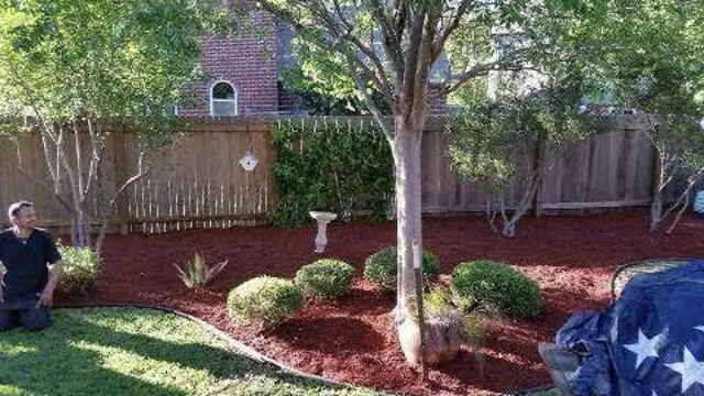 Adam’s Tree Services and Landscaping