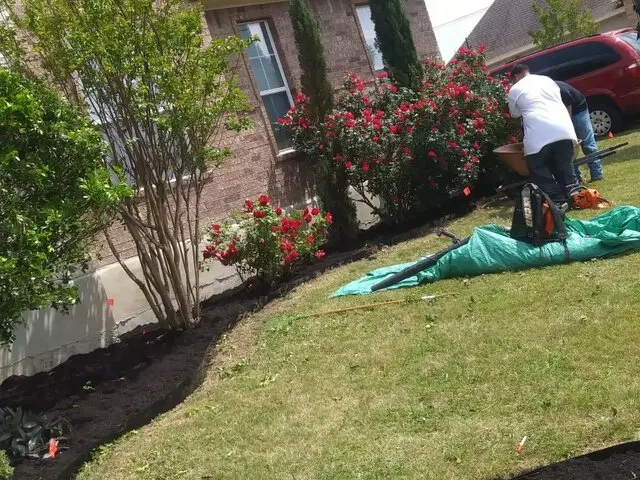 Adam’s Tree Services and Landscaping