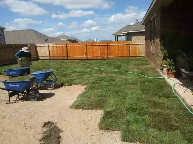Adam’s Tree Services and Landscaping