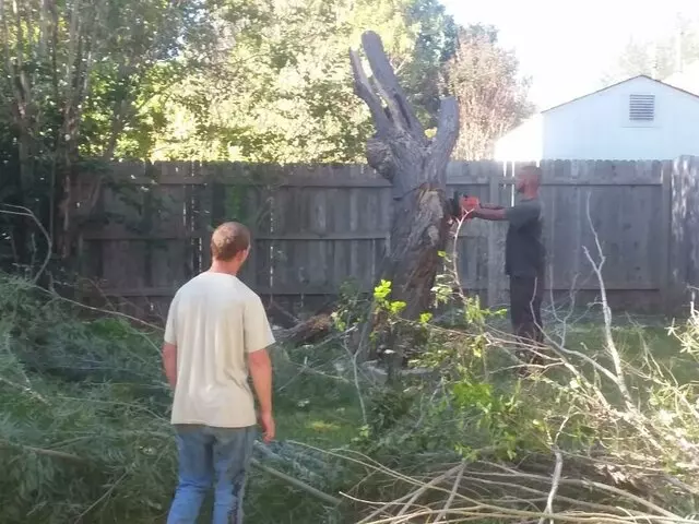 Adam’s Tree Services and Landscaping