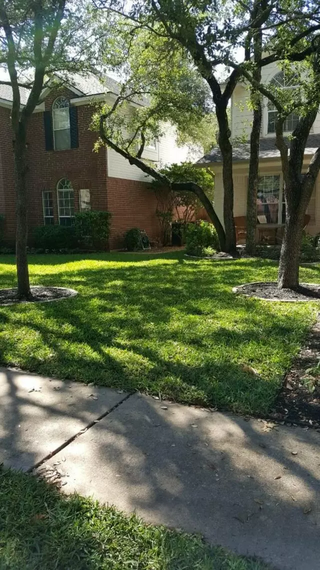 Adam’s Tree Services and Landscaping