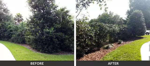 Adam’s Tree Services and Landscaping
