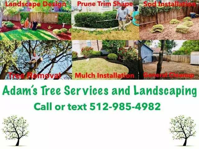 Adam’s Tree Services and Landscaping