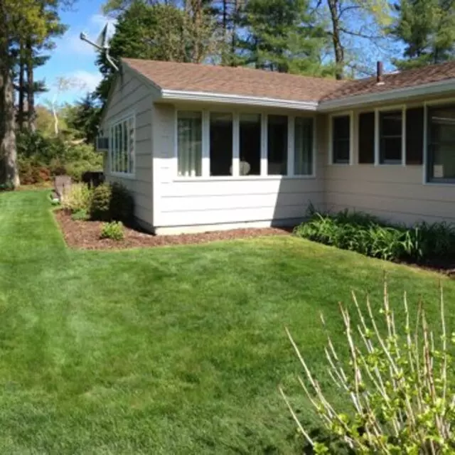 Adam’s Tree Services and Landscaping