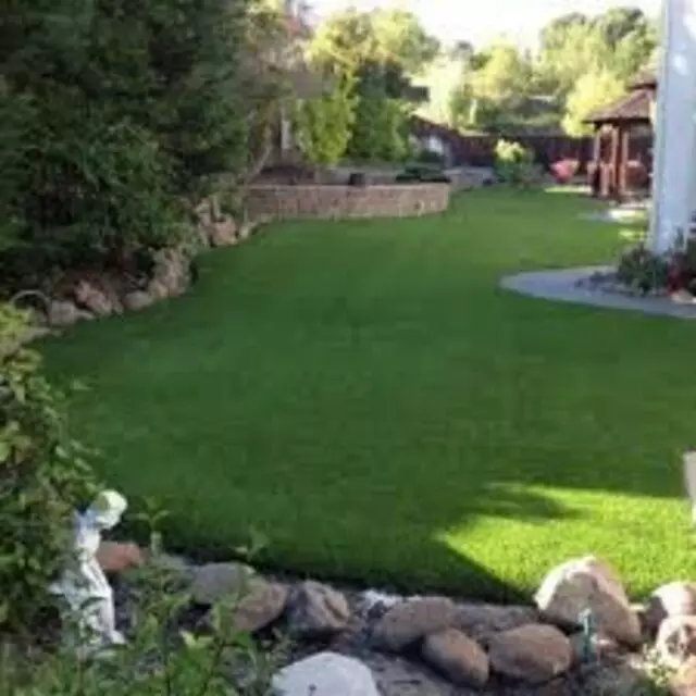 Adam’s Tree Services and Landscaping