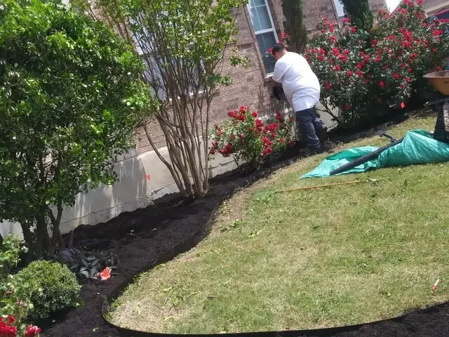 Adam’s Tree Services and Landscaping