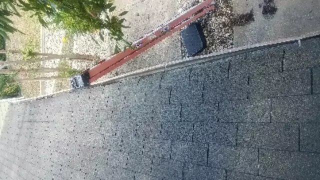Adam’s Tree Services and Landscaping