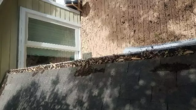 Adam’s Tree Services and Landscaping