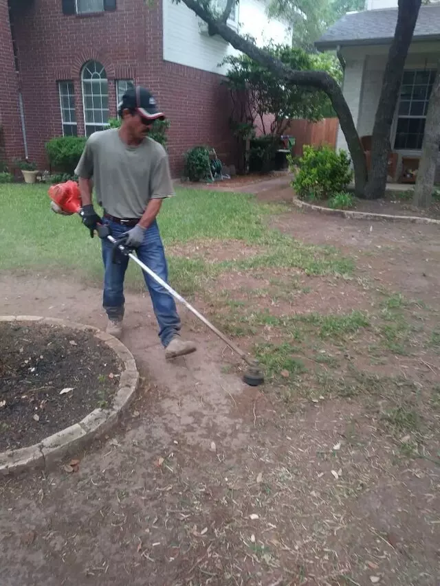Adam’s Tree Services and Landscaping