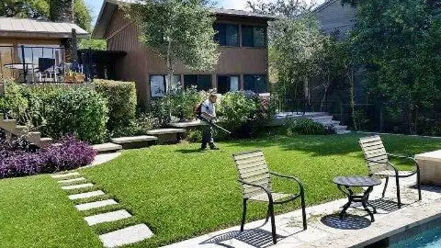 Adam’s Tree Services and Landscaping
