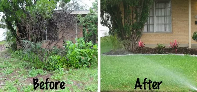 Adam’s Tree Services and Landscaping