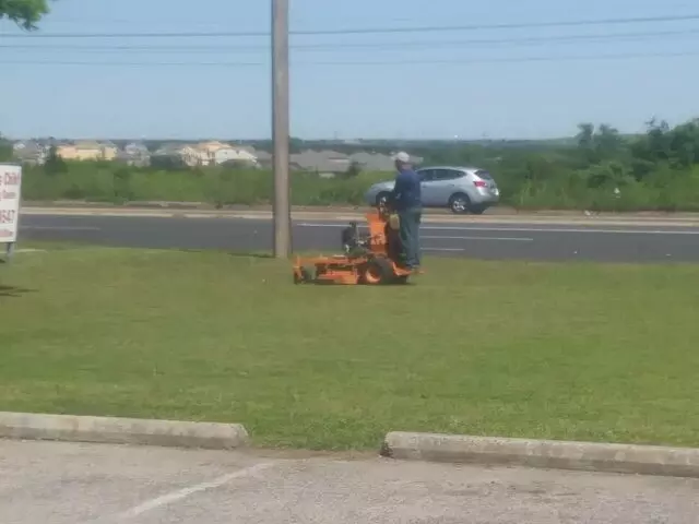 Adam’s Tree Services and Landscaping