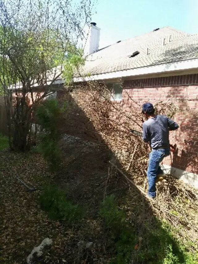 Adam’s Tree Services and Landscaping