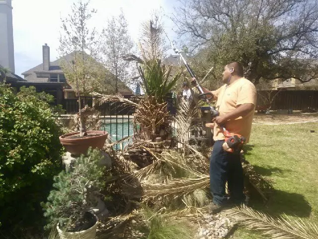 Adam’s Tree Services and Landscaping