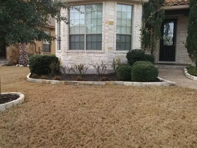 Adam’s Tree Services and Landscaping