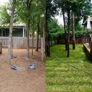 Adam’s Tree Services and Landscaping