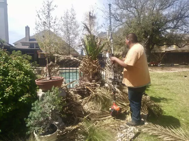 Adam’s Tree Services and Landscaping