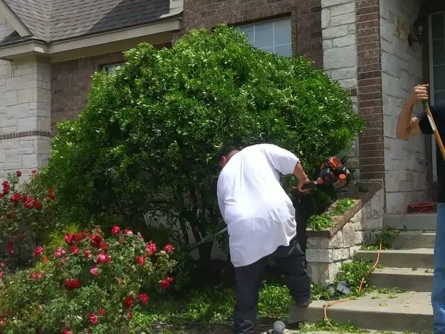 Adam’s Tree Services and Landscaping
