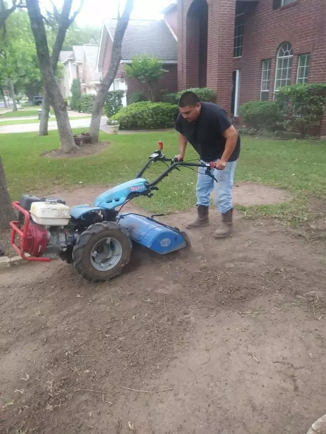 Adam’s Tree Services and Landscaping