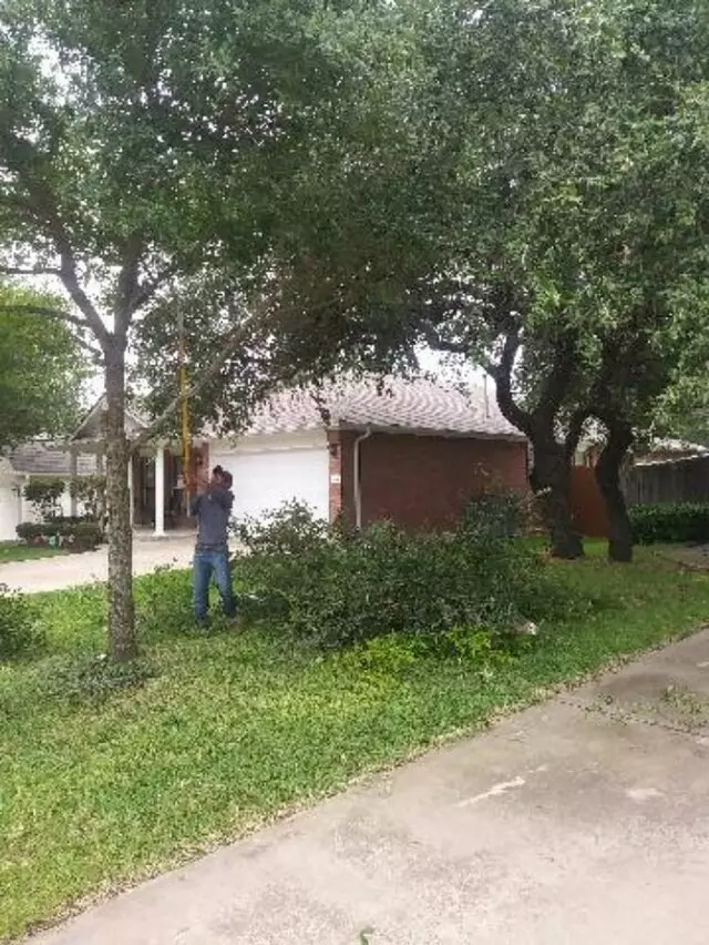 Adam’s Tree Services and Landscaping