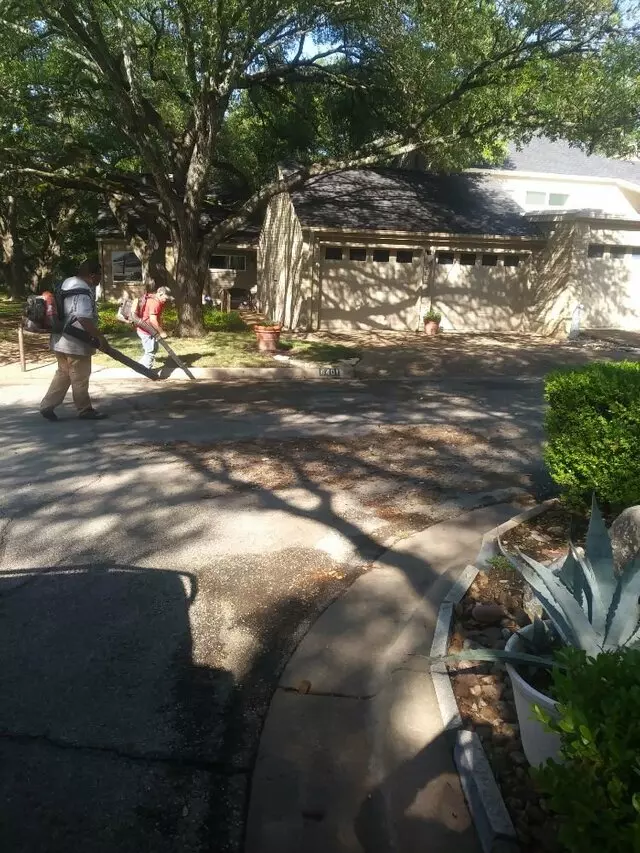 Adam’s Tree Services and Landscaping