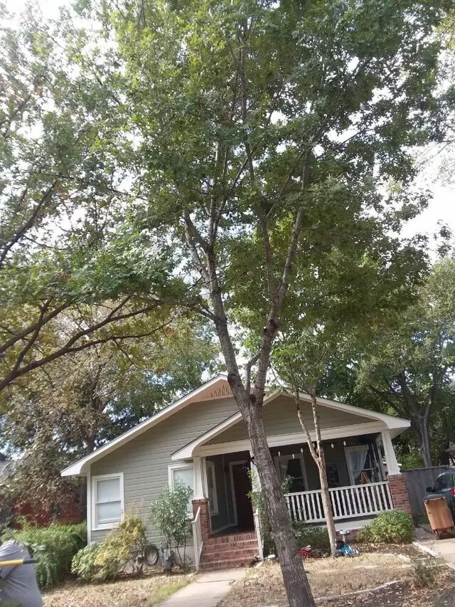 Adam’s Tree Services and Landscaping