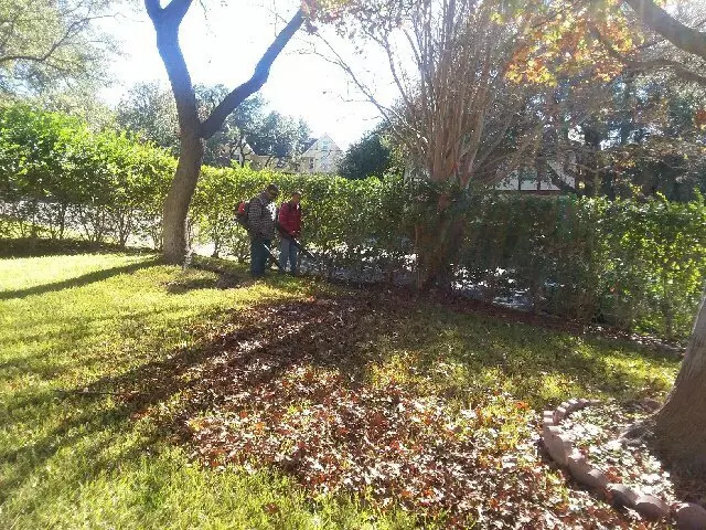 Adam’s Tree Services and Landscaping