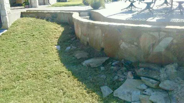 Adam’s Tree Services and Landscaping