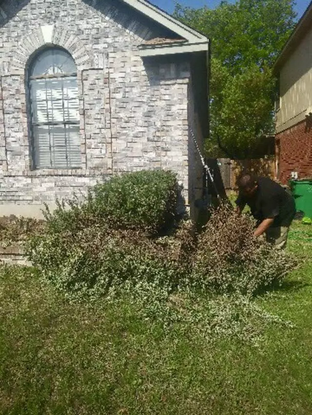 Adam’s Tree Services and Landscaping