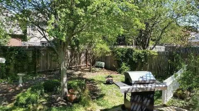 Adam’s Tree Services and Landscaping