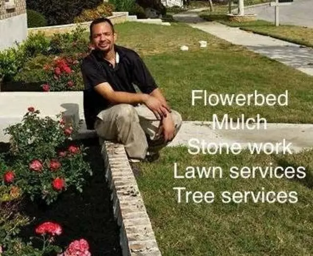 Adam’s Tree Services and Landscaping