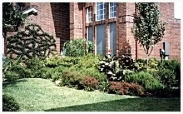 Advance Landscape Designs