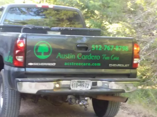 Austin Cordero’s Tree Care