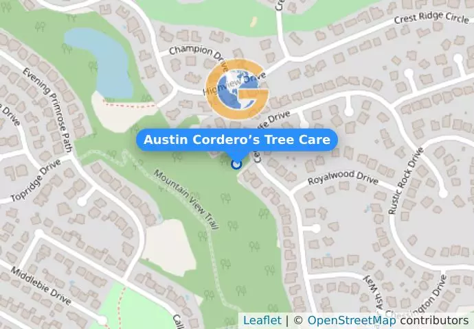 Austin Cordero’s Tree Care