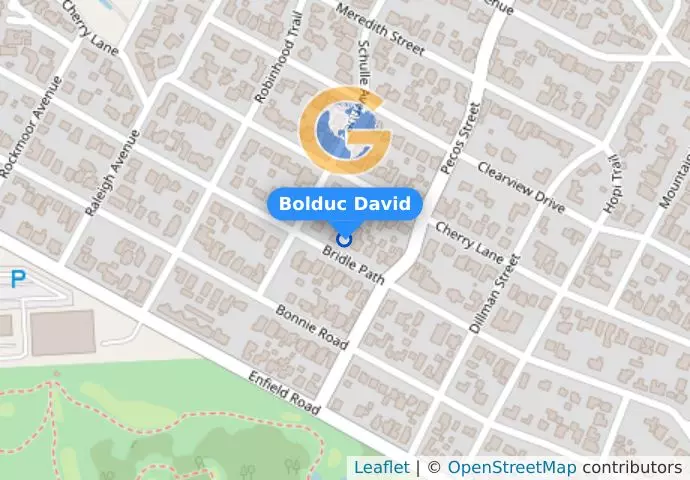 Bolduc David