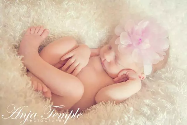 Anja Temple Photography