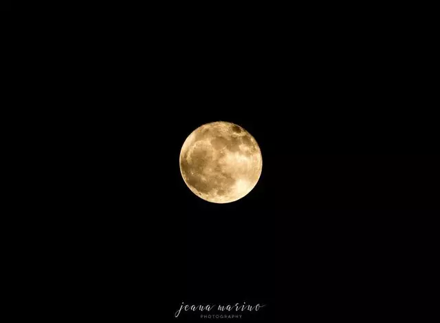 Diana Beilman - Moon Medicine Healing Arts