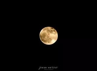 Diana Beilman - Moon Medicine Healing Arts